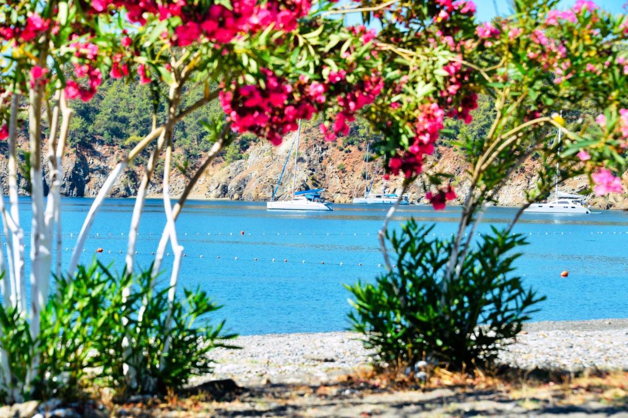 Villa Santana Gocek Göcek Exterior foto